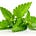 Go to the profile of Natural Treatment Pills