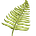 The Brainerd Foundation