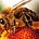 Politics of APIs