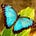 Go to the profile of Cynthia Miranda