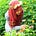 Go to the profile of Arini Rusyda