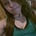 Go to the profile of Rosy Desuza