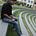 Go to the profile of Nikhil Bhavsar