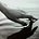 Go to the profile of Faye Calloway