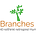 (Branches) Stories