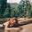 Go to the profile of Redhead on the road