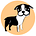 Go to the profile of PetDom