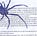 Published in My mother’s little spider stories