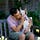 Go to the profile of Wayne Hsiung