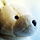 Go to the profile of Tetsuharu OHZEKI