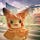 Go to the profile of Magie