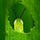 Go to the profile of Linda Howell