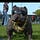 Go to the profile of BigBoyDogg-BBD Community.
