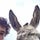 Go to the profile of Arthur Hirel