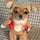 Go to the profile of Lynn Bonnet