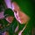 Go to the profile of Vanessa McDougall