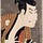 Go to the profile of Inejiro Koizumi
