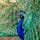 Go to the profile of Stories_from_Earth