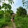 Go to the profile of Chuyên Gia Bắt Gà