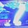 Go to the profile of mikl em