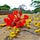 Go to the profile of Trần Hồng Nhung