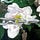 Go to the profile of Karen Sarrow