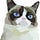 Go to the profile of I AM A FUEANG