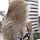Go to the profile of Diana Chua