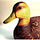 Go to the profile of bingowrt