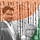 Go to the profile of Rajendran Raj