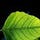 Go to the profile of Donald Pittard