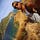 Go to the profile of Aneil Lutchman