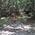 Go to the profile of Marion Neubronner