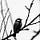Go to the profile of Alexey Gonchar
