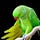 Go to the profile of Vihaan Sen