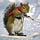 Go to the profile of Jeff Hobbs