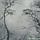 Go to the profile of Erum Abid Awan