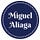 Go to the profile of Miguel Aliaga
