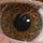 Go to the profile of Dreamt Epiphany