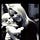Go to the profile of Amy S Waldron