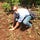Go to the profile of Hector Smethurst