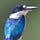 Go to the profile of Hyper Forest