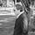 Go to the profile of WJ Gastle