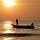 Go to the profile of Fishing Without Bait