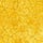 Go to the profile of Yazan