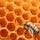 L'abeille et l'architecte