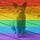 Go to the profile of Federico Novaro