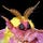 Go to the profile of Peter Brunés