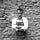 Go to the profile of Diarmuid Cawley