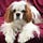 Go to the profile of Pamela A. Stewart